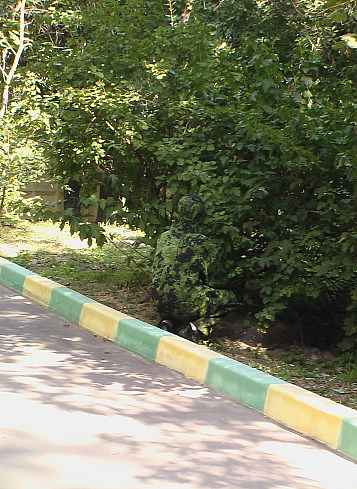 Зображення