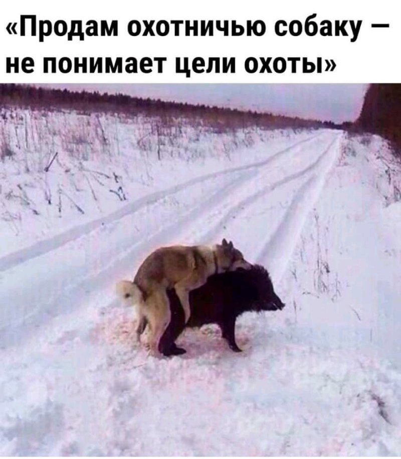 0-02-05-0a15c0e89f6d6d1f0db0d99ce84730cea8b4a7b47e1a3ca2d4d7f951b2b15a45_9897b740.jpg