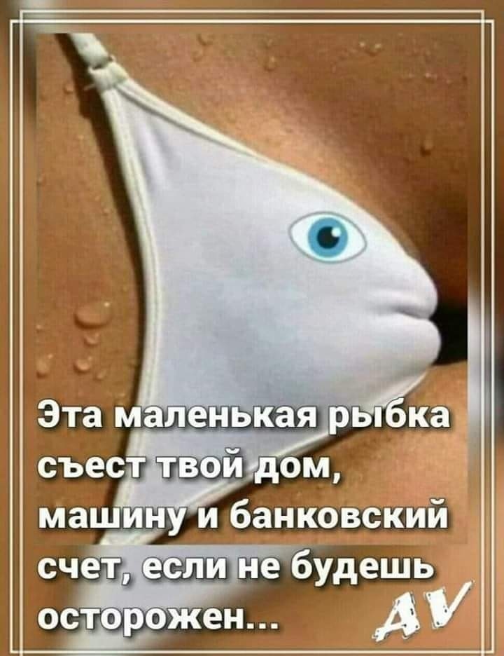 0-02-05-4bc9e2dbb2f980be7ff8cf4fb44d8d16277ede39d6a2c4832e84a18493304c9e_3240762e.jpg