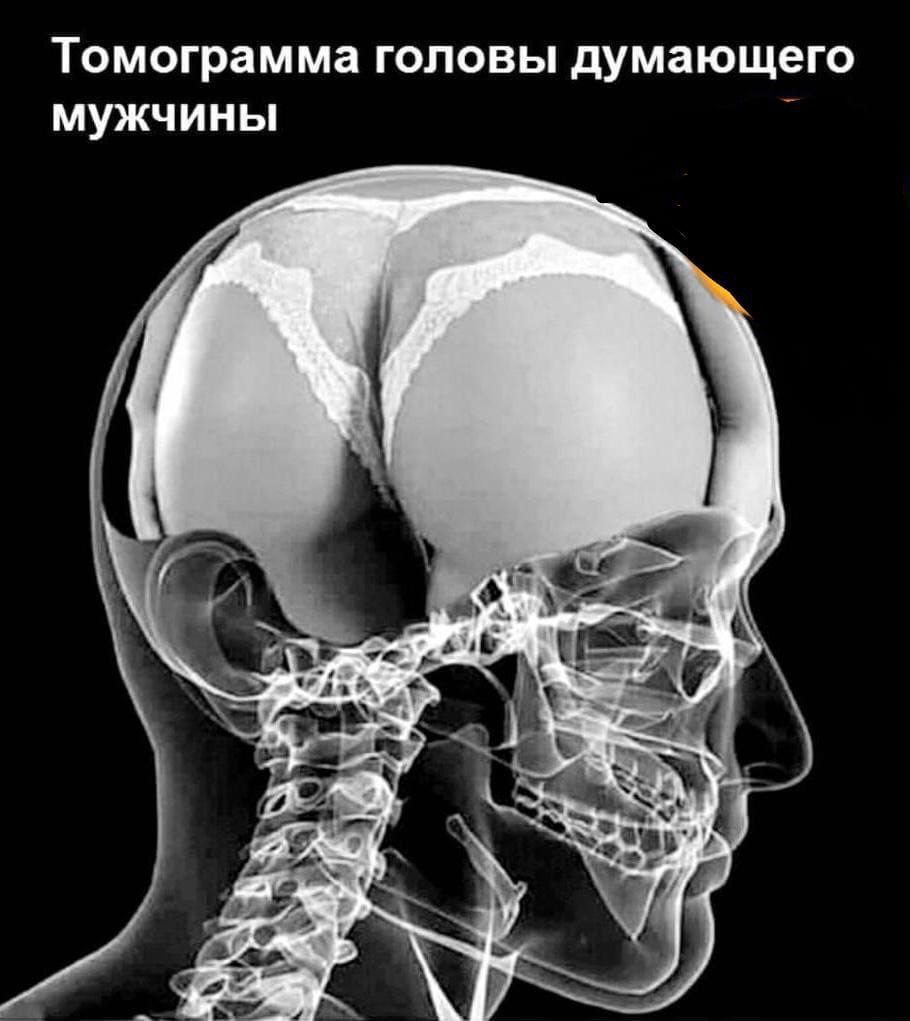 0-02-05-521d22e1a41cded447fcf6bdd01c14ef353d37643ac0a674b2945739821b842d_903fcb46.jpg