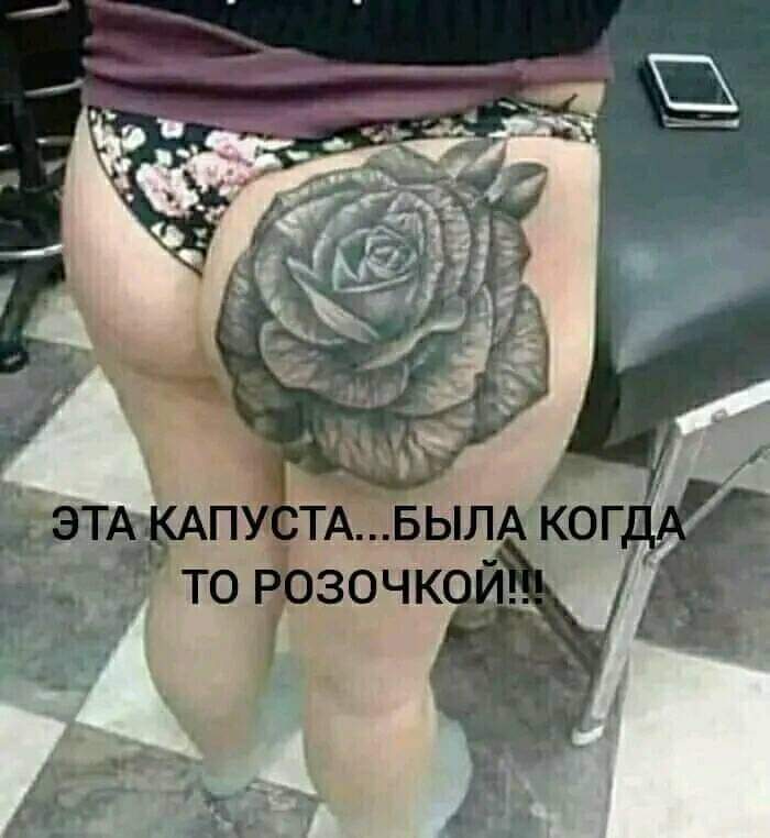 0-02-05-7fd33c77c67f7cf7050e5e2a8db59270ea48886a8fb00fdc404333b090f05702_dce562c4.jpg