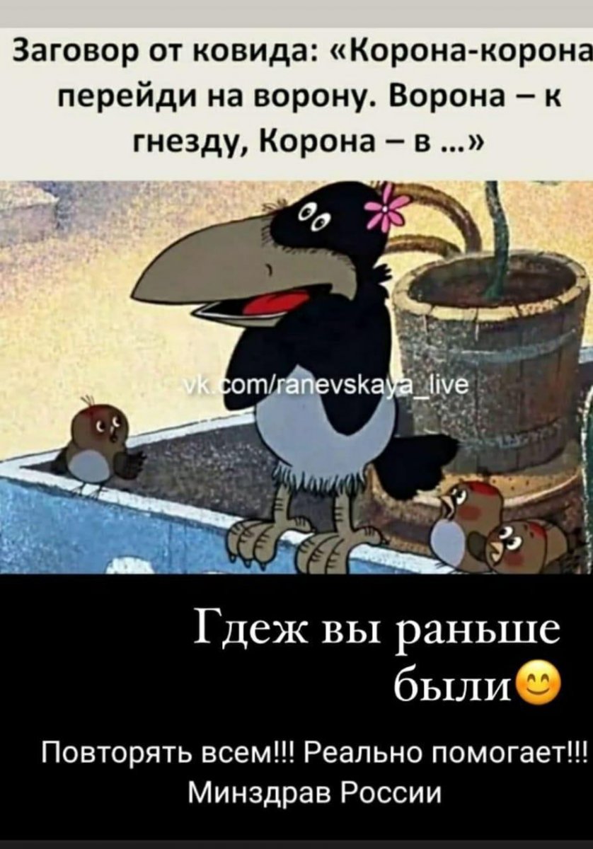 Видео про ворону прикол
