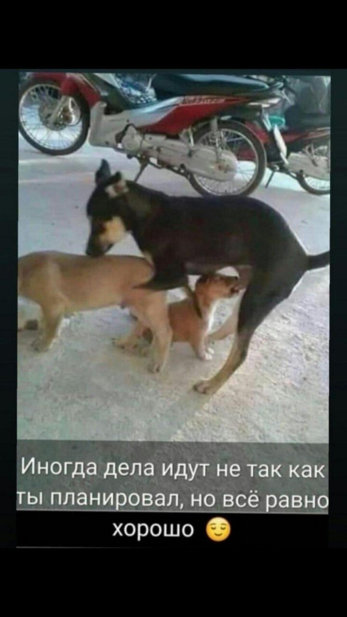 0-02-05-d6ce8fdfe7634396766f86a0c9742c00bb9a47eeae8af7b3a6056d8d3f03c6ec_full.jpg