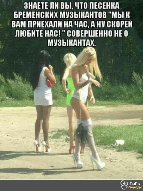 0-02-0a-966b65e9ce3f492d9482d5ed4c7e77bf92040c8410e11348c3708c27d48bbbb6_7991328.jpg