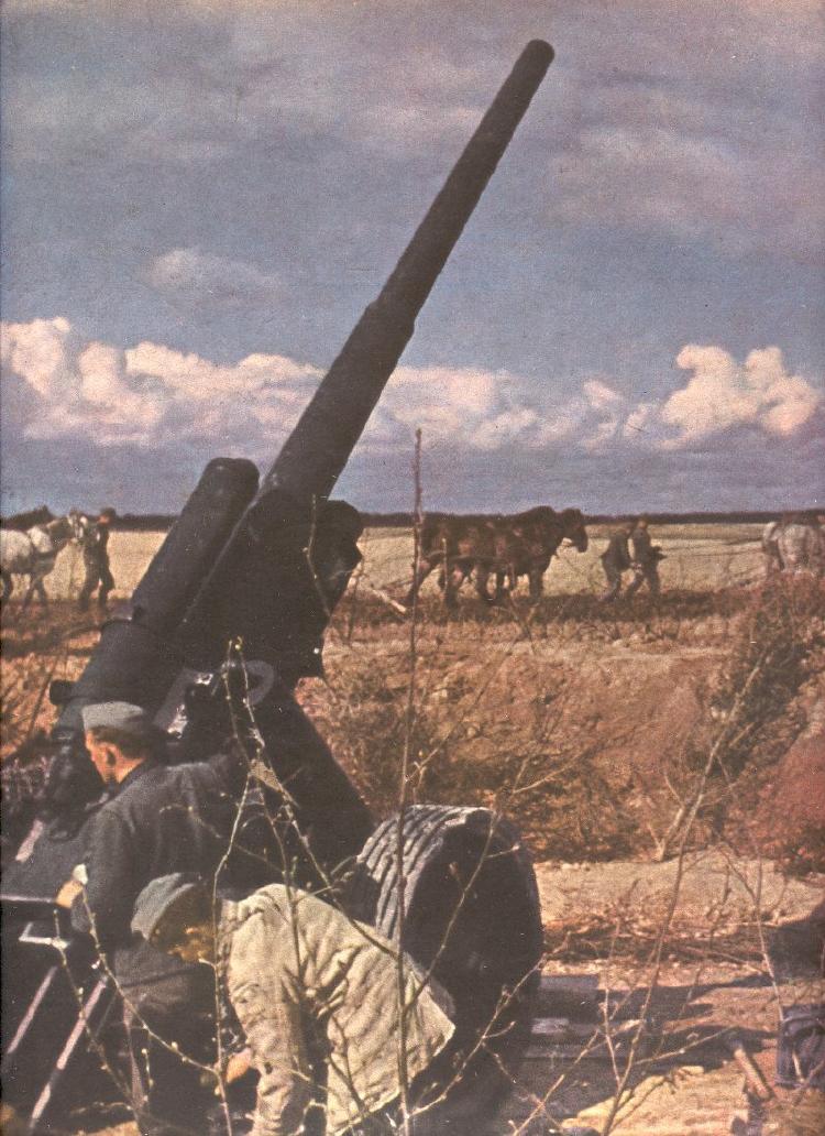 0009_Немецкая артиллерия в зоне боев, июнь 1944 г..jpg