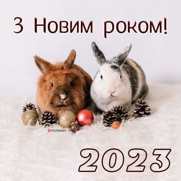 00c2bc2f-d6da45fb535e402f205ce6caa7db29cd.jpeg