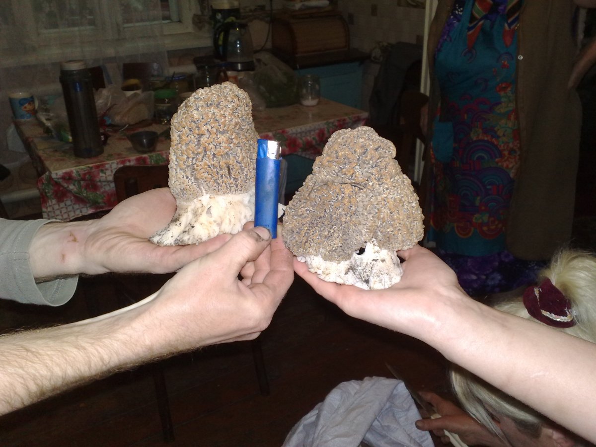 01052015357.jpg