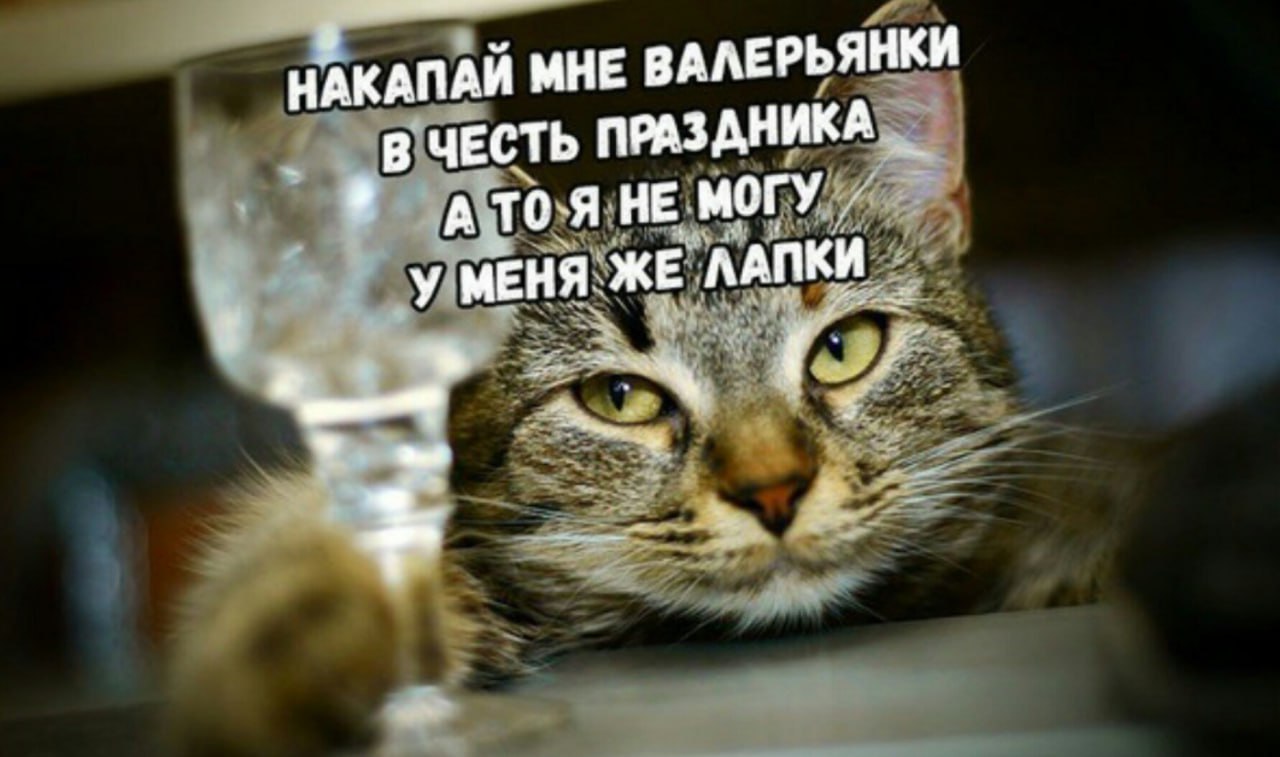 0126CADB-81DB-47A8-98DC-039722275BDA.jpeg