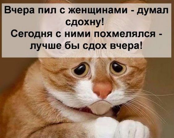 02C68Iu.jpg