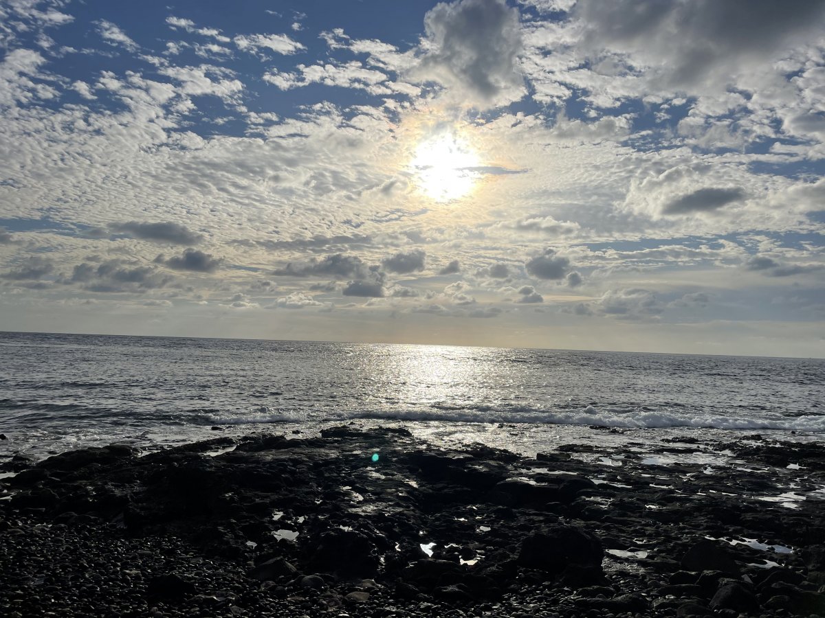 02EE1676-51A2-491E-A2A6-95DD0C7864AE.jpeg