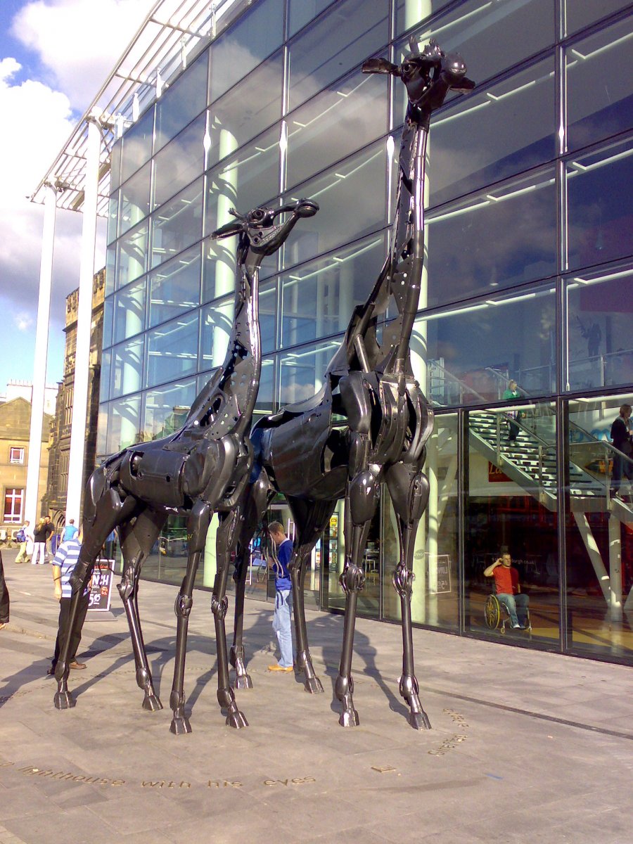 04092008399.jpg