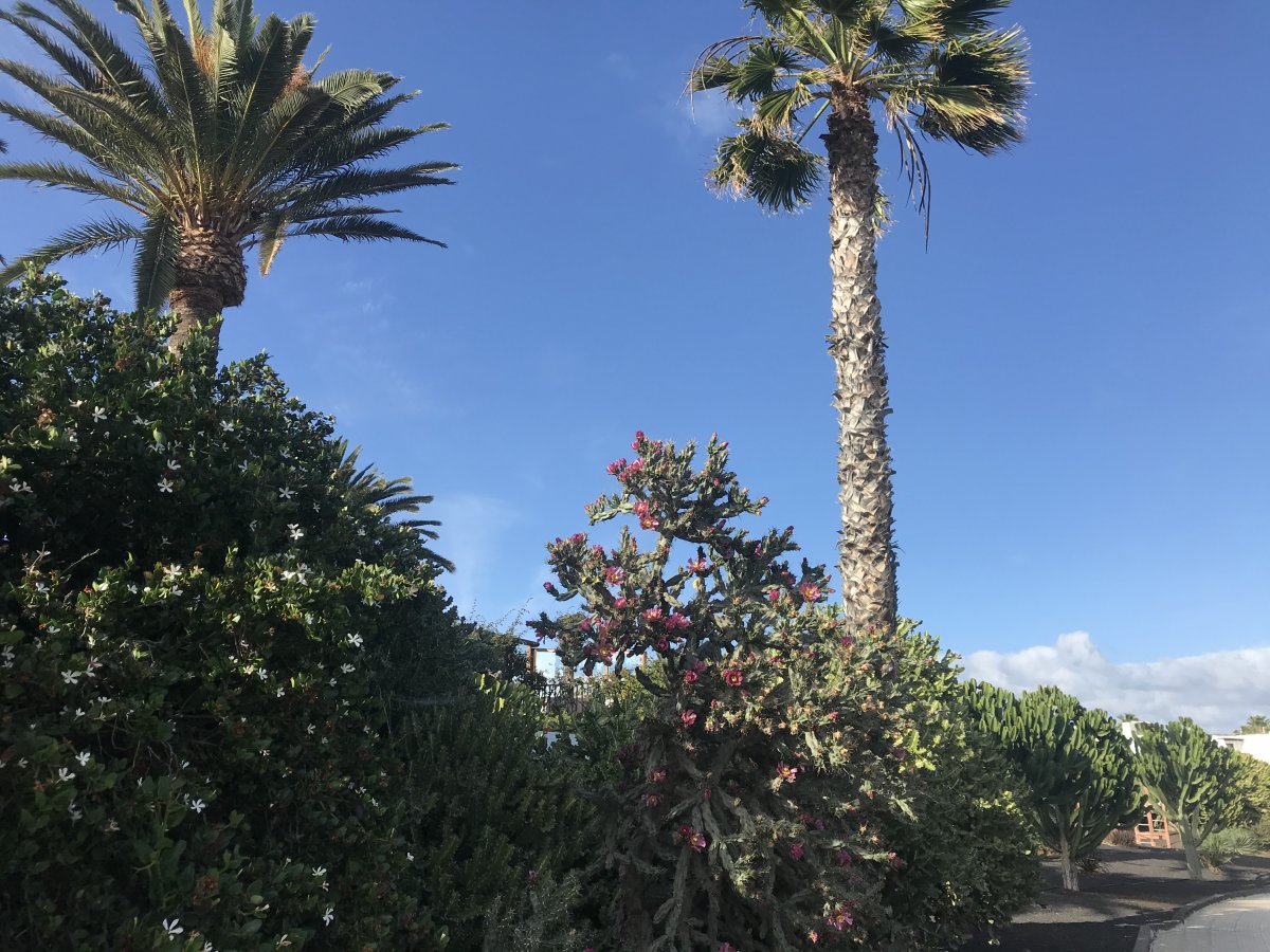 04607979-0901-4CB7-B1B4-08F0225BB89D.jpeg