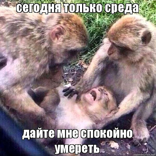 06.16.jpg
