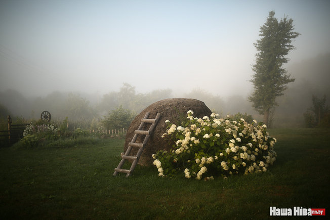 0726_ranak_druia_05.jpg