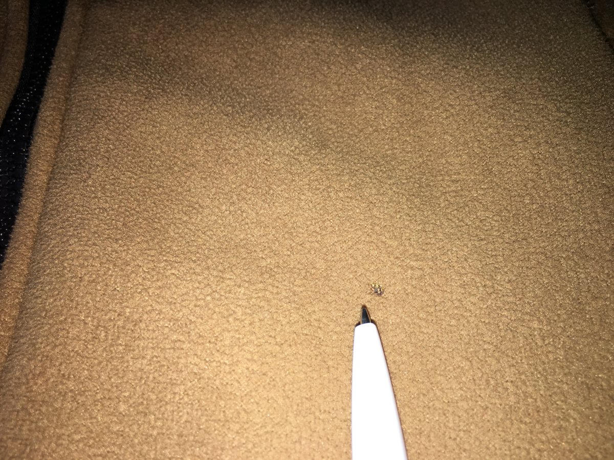 07842D36-DFA2-4576-AABB-FB62ADF2E038.jpeg