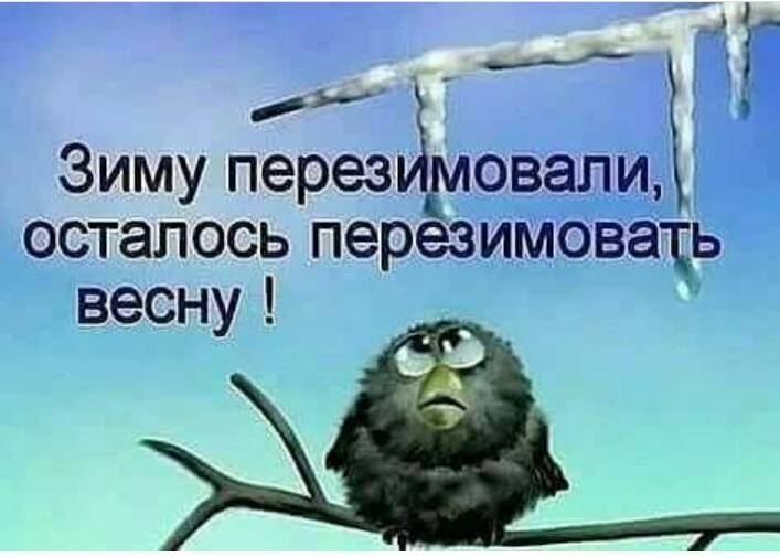 080292f06855257289ffb93bdf55061c.jpg