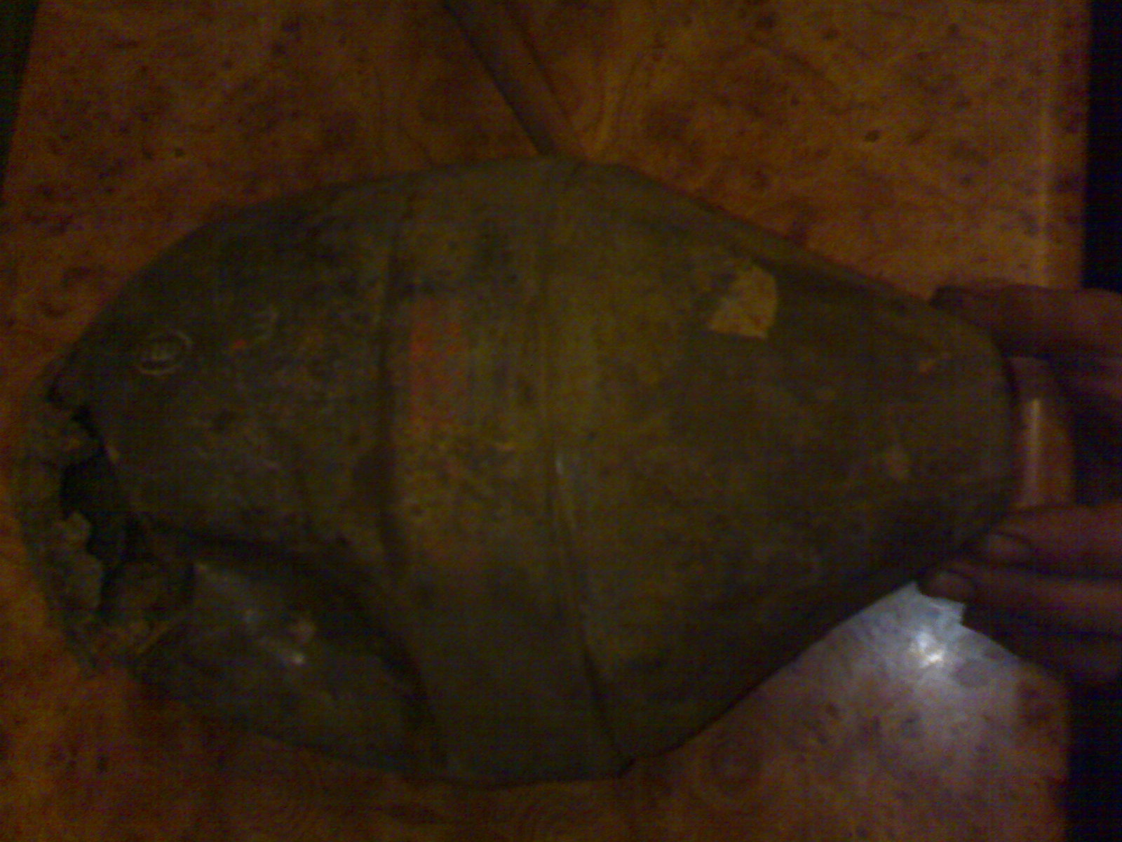 08032013296.jpg