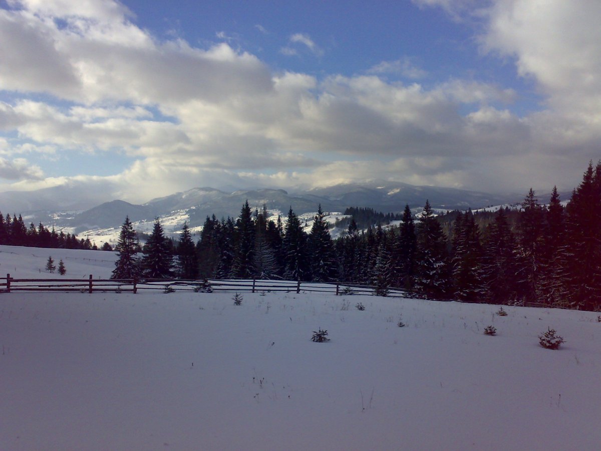 08122013916.jpg