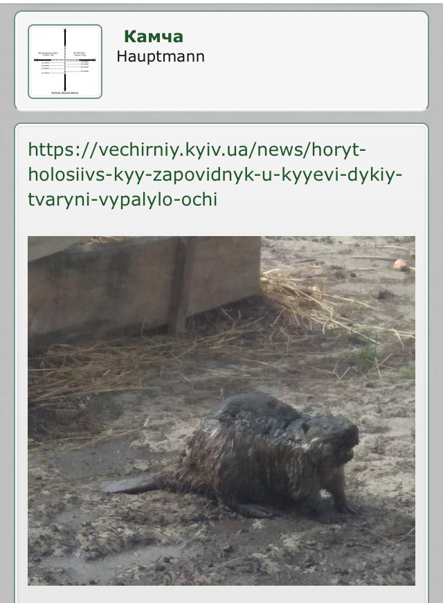 086C2FF4-DF7B-4F74-B3ED-06BD87646301.jpeg