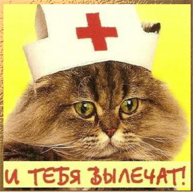089d8ab4fabf.jpg