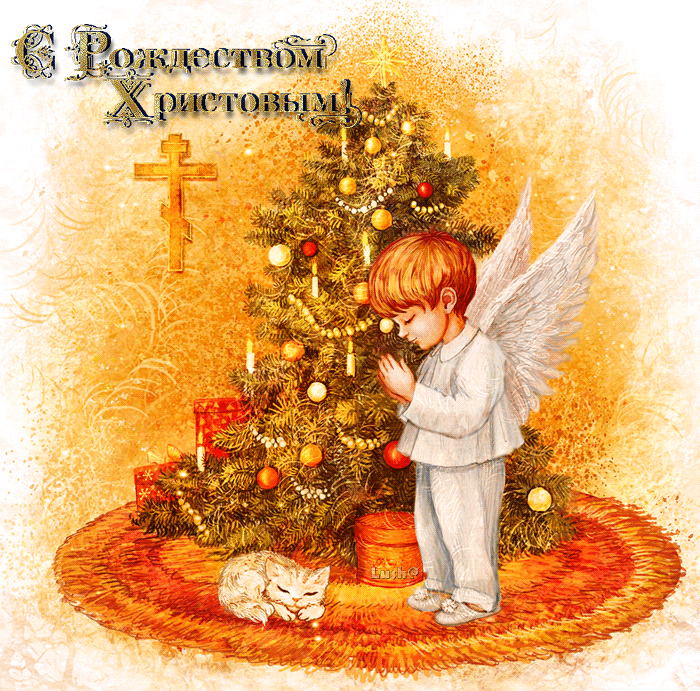 0_13b1cd_43749f8f_orig.gif