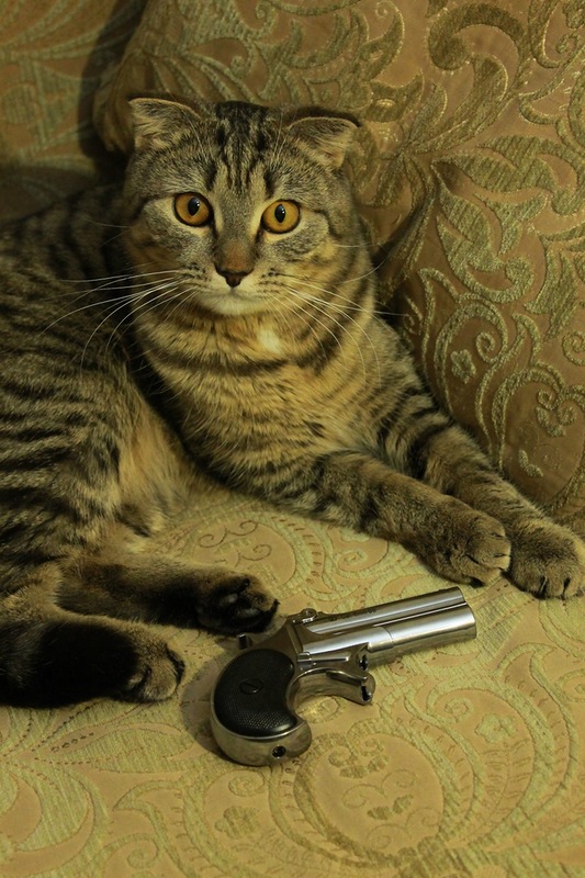 0_6fde7_ac5cd627_XL.jpg