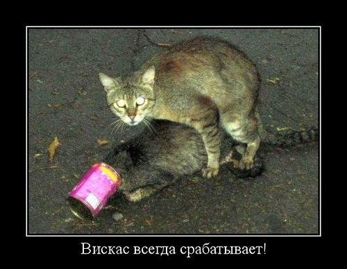0_a5c9f_77efffb9_L.jpg