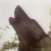 0C2E1A0C-BE1E-44C6-B6DB-343F6C6342BD.gif