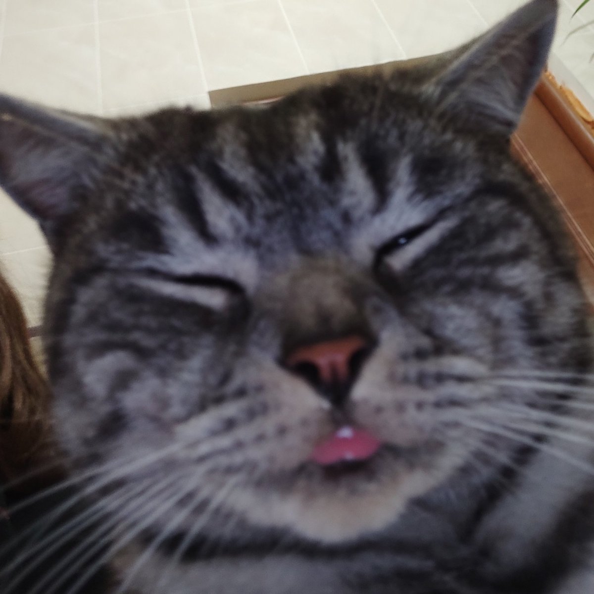 0C9C0327-AE16-4ED0-9855-834B01886BAF.jpeg