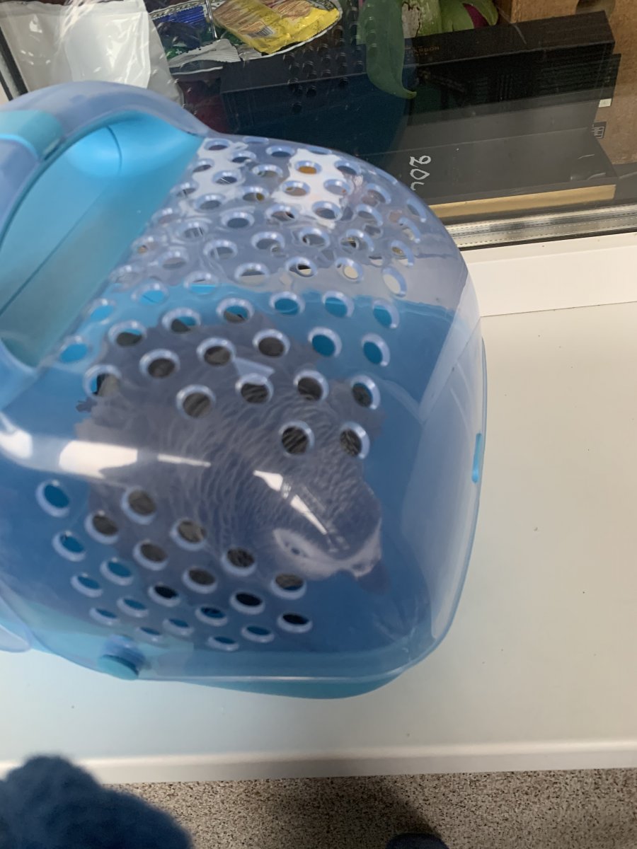 0E2EB560-7D7F-4DFE-A06C-34C3C34ADC3C.jpeg
