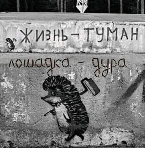 0e3fe5ee4711f60f7ba36cd3c45f558f.jpg