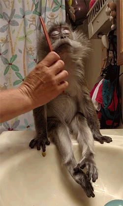 0E57A313-5E5B-4F4B-B0CF-9B10F1F302C7.gif