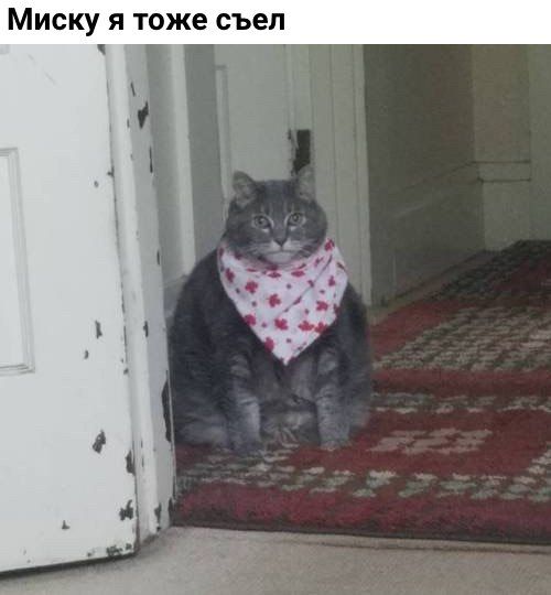 0F9776AF-953C-4927-9092-89BE73F7E605.jpeg