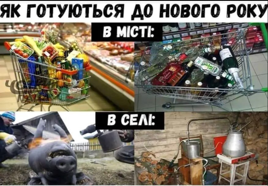 1.jpeg