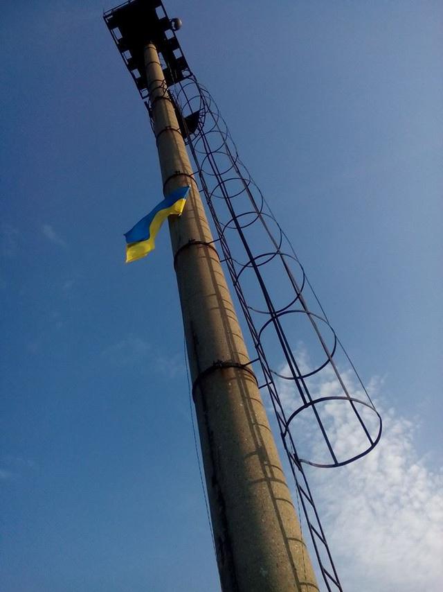 1.jpg