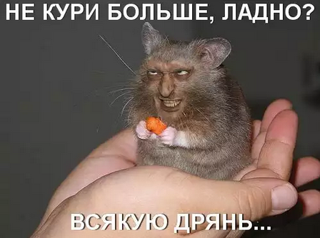 10035780.png
