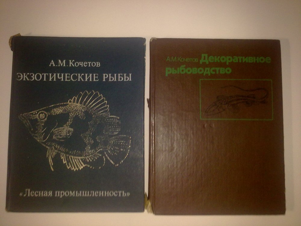 100720146005.jpg