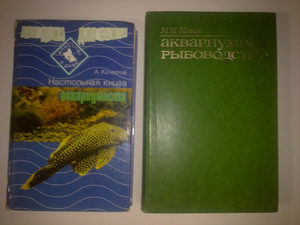 100720146007.jpg
