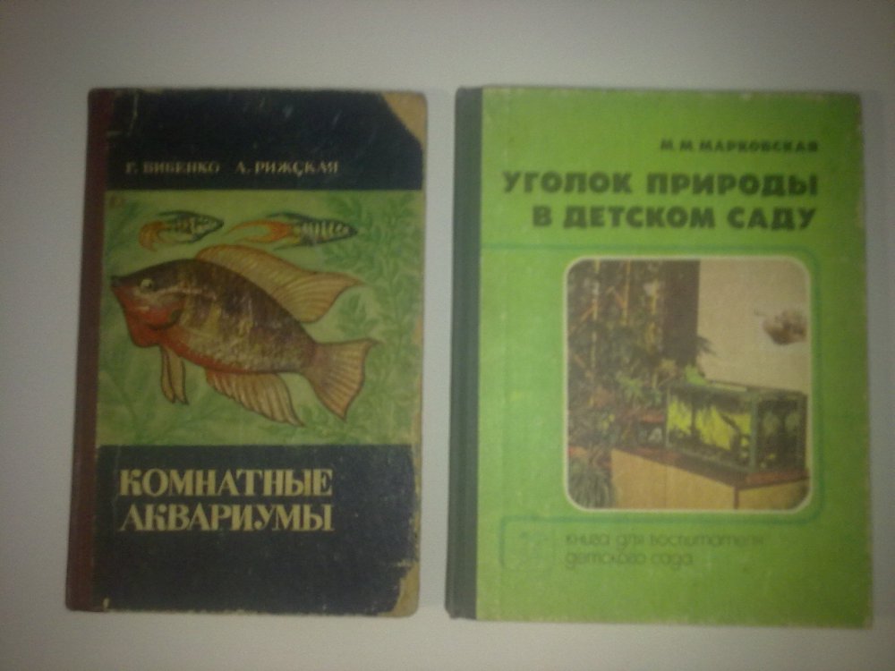 100720146010.jpg