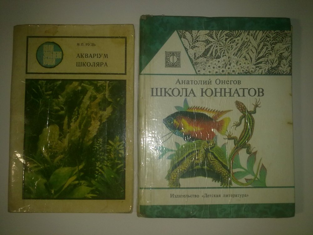 100720146013.jpg
