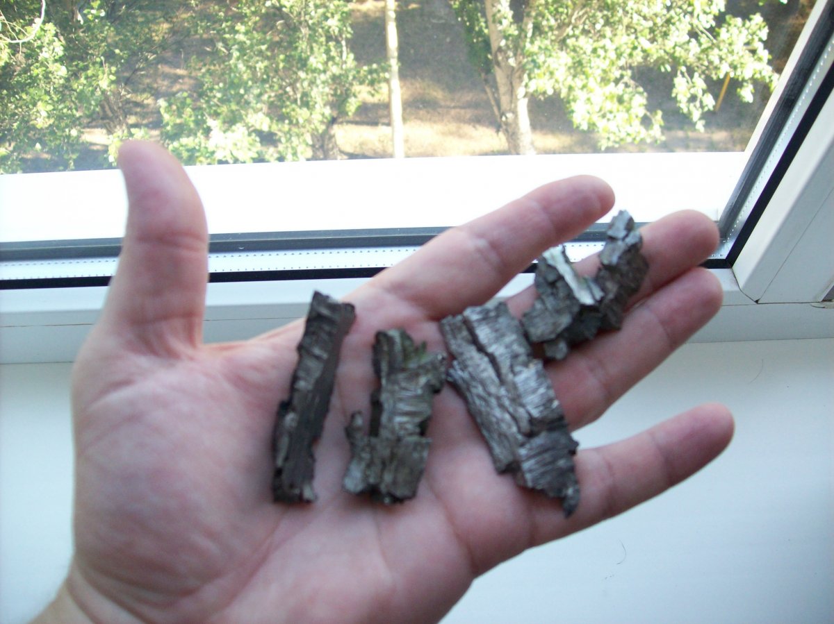 100_4746.JPG