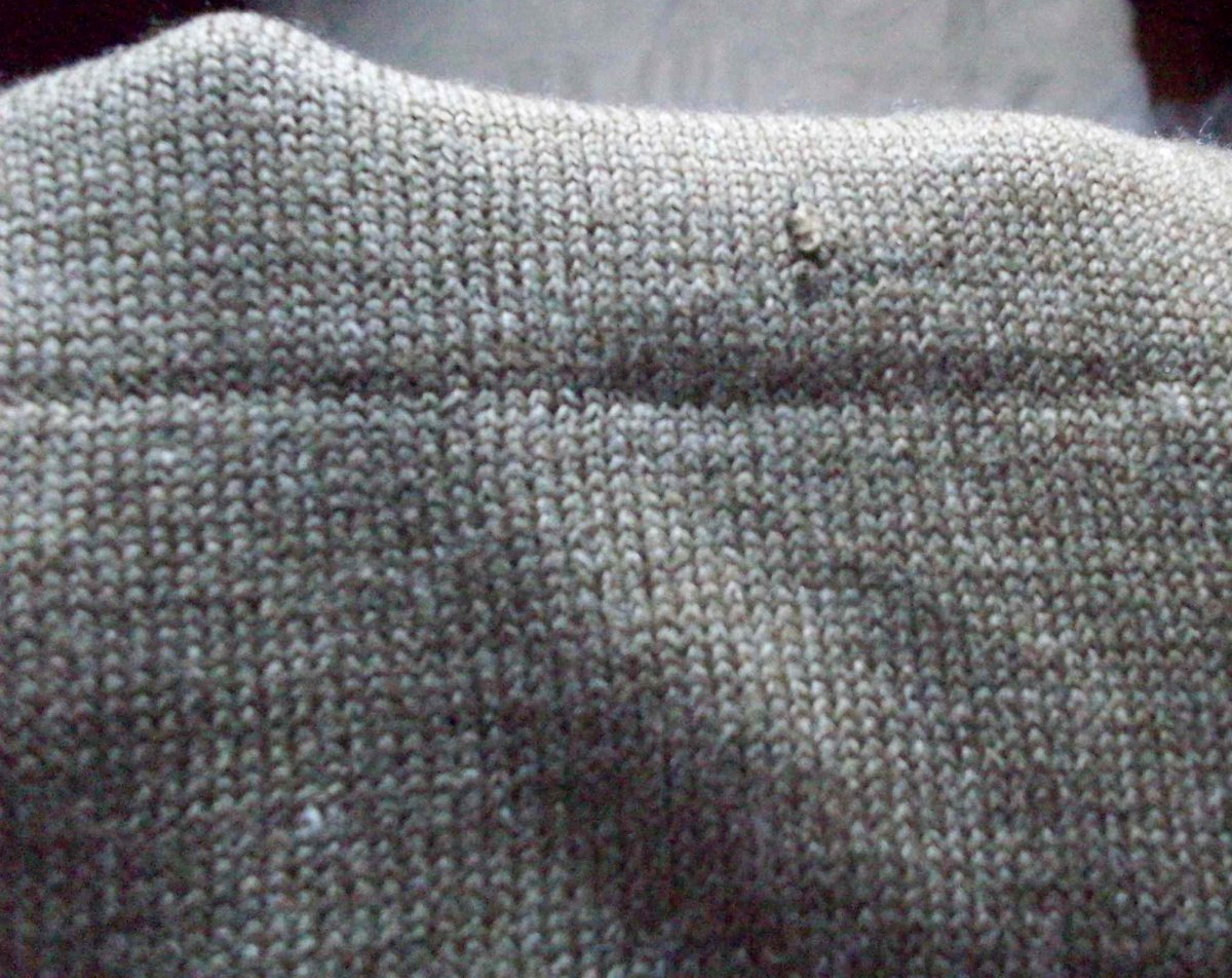 100_7401.JPG