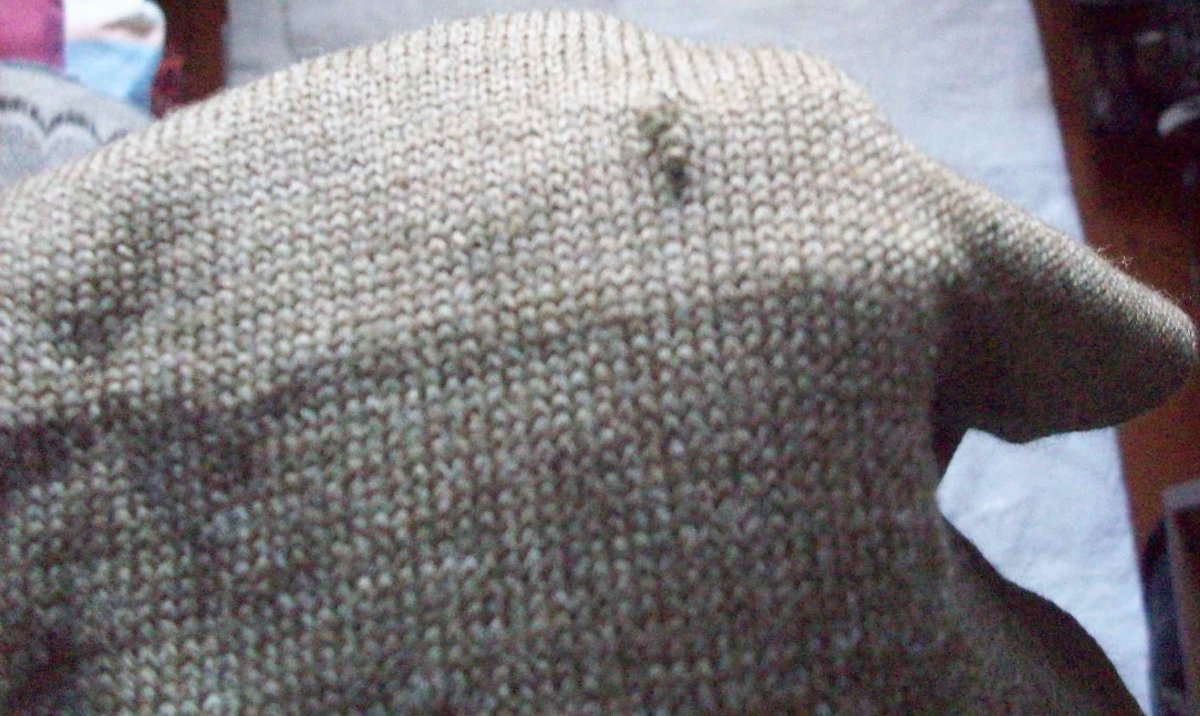 100_7402.JPG