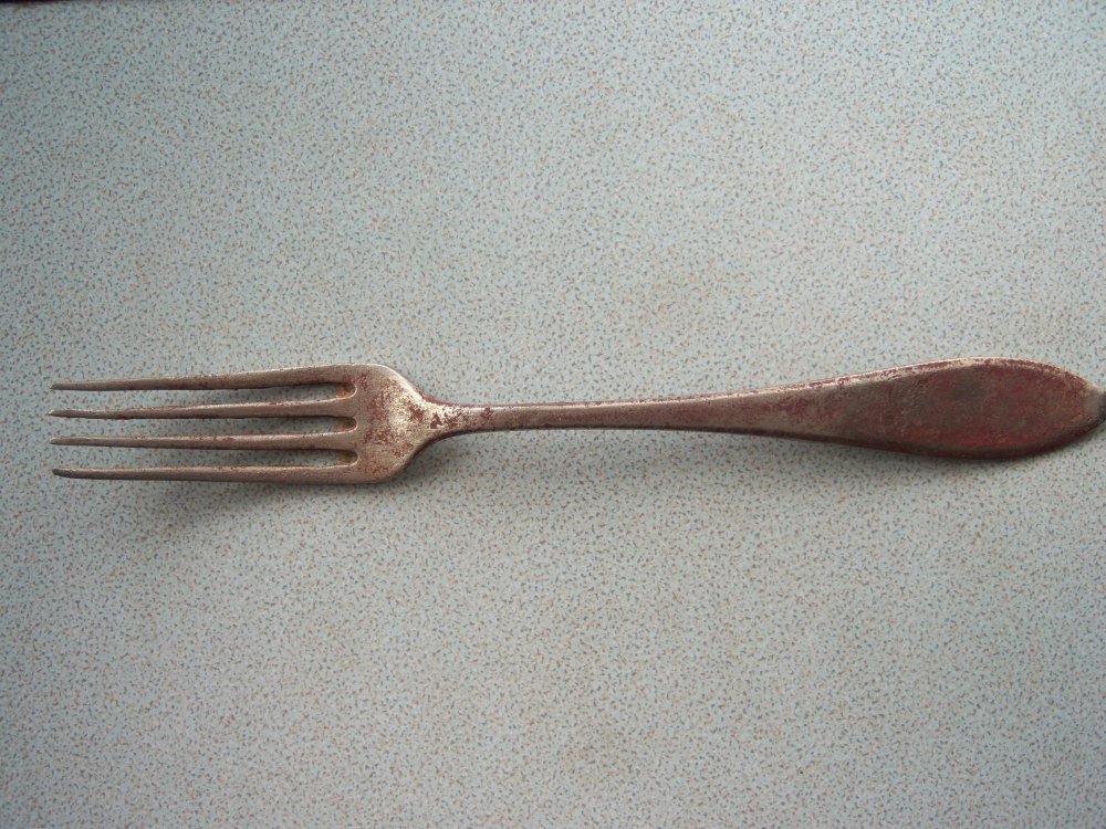 100_9669.JPG