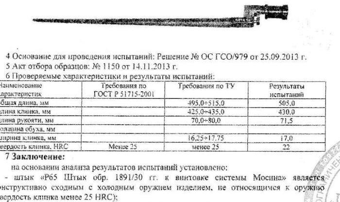 10307072.jpg