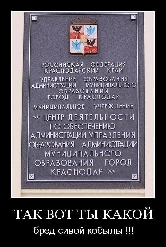 10378920_81190813_n.jpg