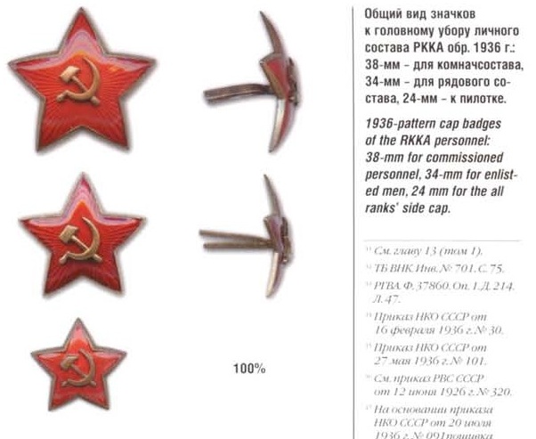 10537570.jpg