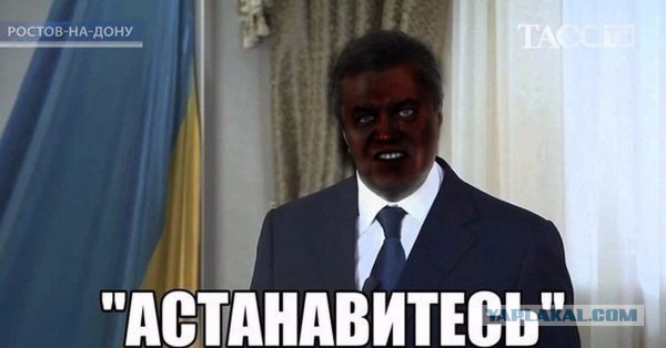 10584549.jpg