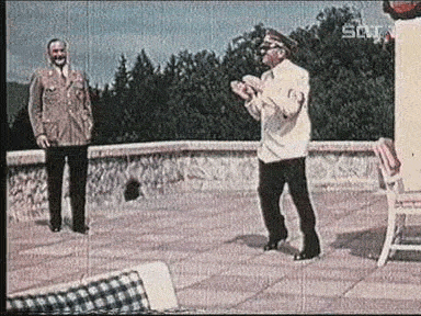 10e60c169427.gif