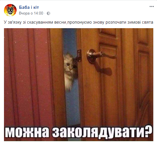 11.PNG